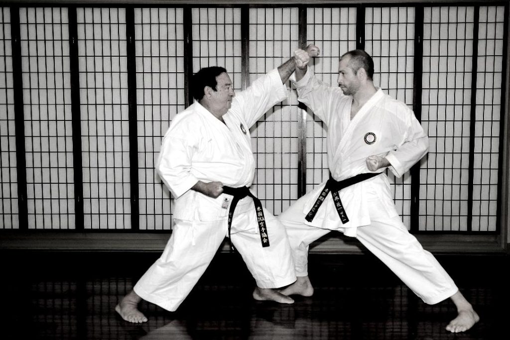 Image of Sensei Safar & Sensei DeAngelis
